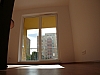 Thumbnail of P1250189.jpg